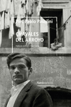 Chavales del arroyo (3ªED) (Biblioteca Pasolini): portada