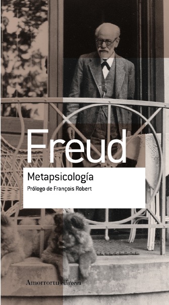 METAPSICOLOGÍA: portada